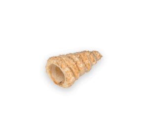 CANNOLI SFOGLIA CONICI MICRO 120 PZ