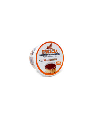MASCARPONE SENZA LATTOSIO 0.5 KG