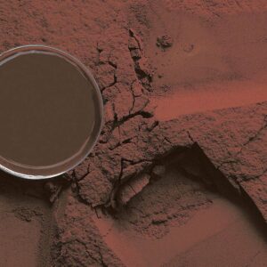 CACAO BENSDORP 22/24 KG 25